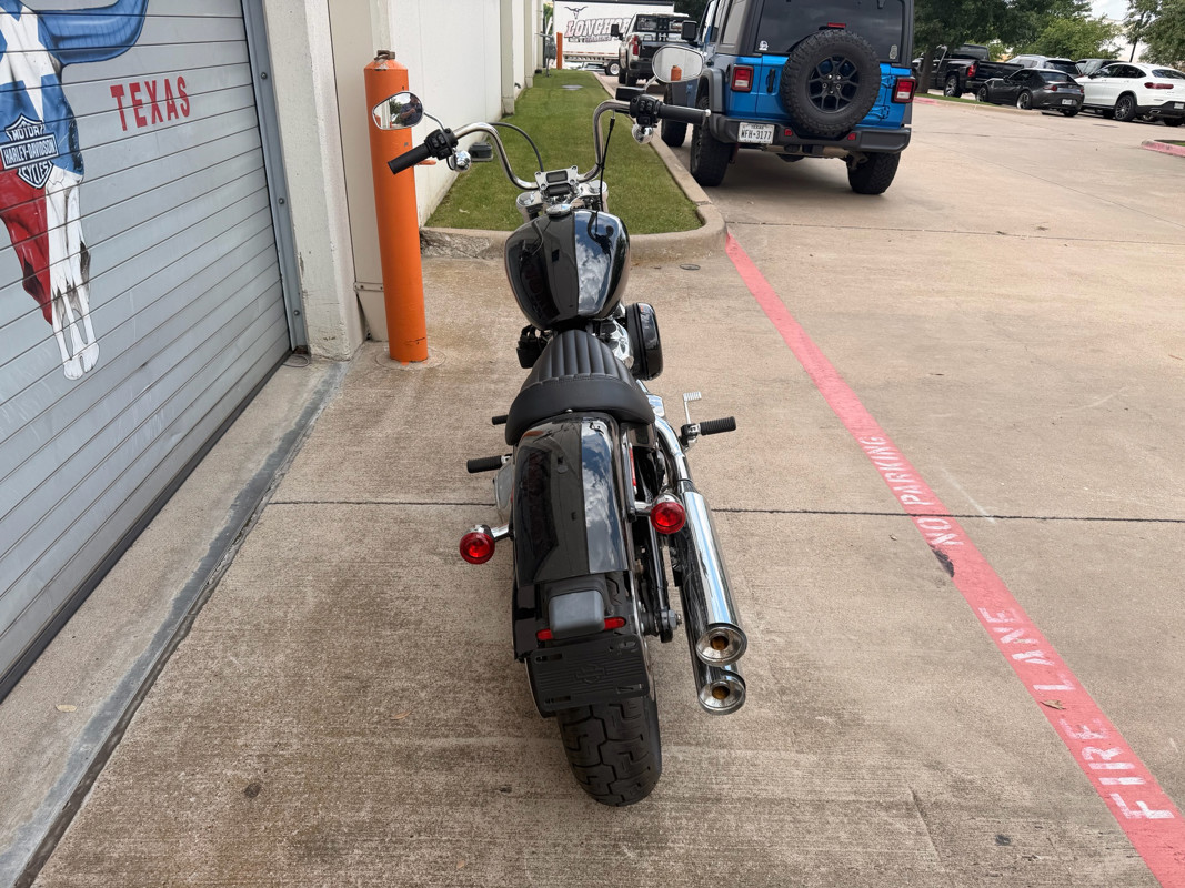 Softail® Standard
