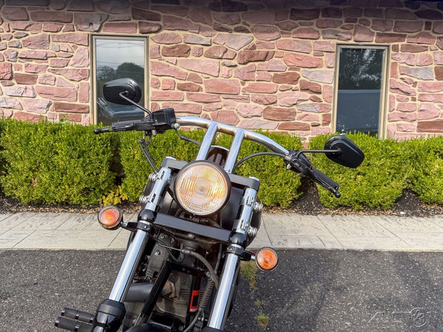 Softail® Night Train®
