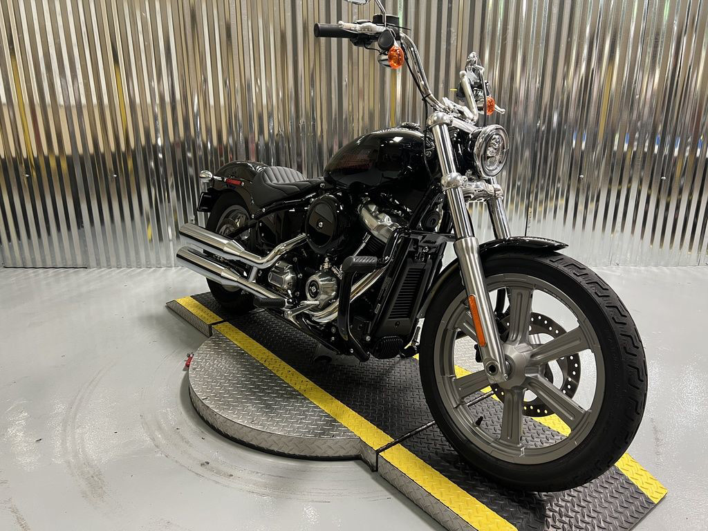 Softail® Standard
