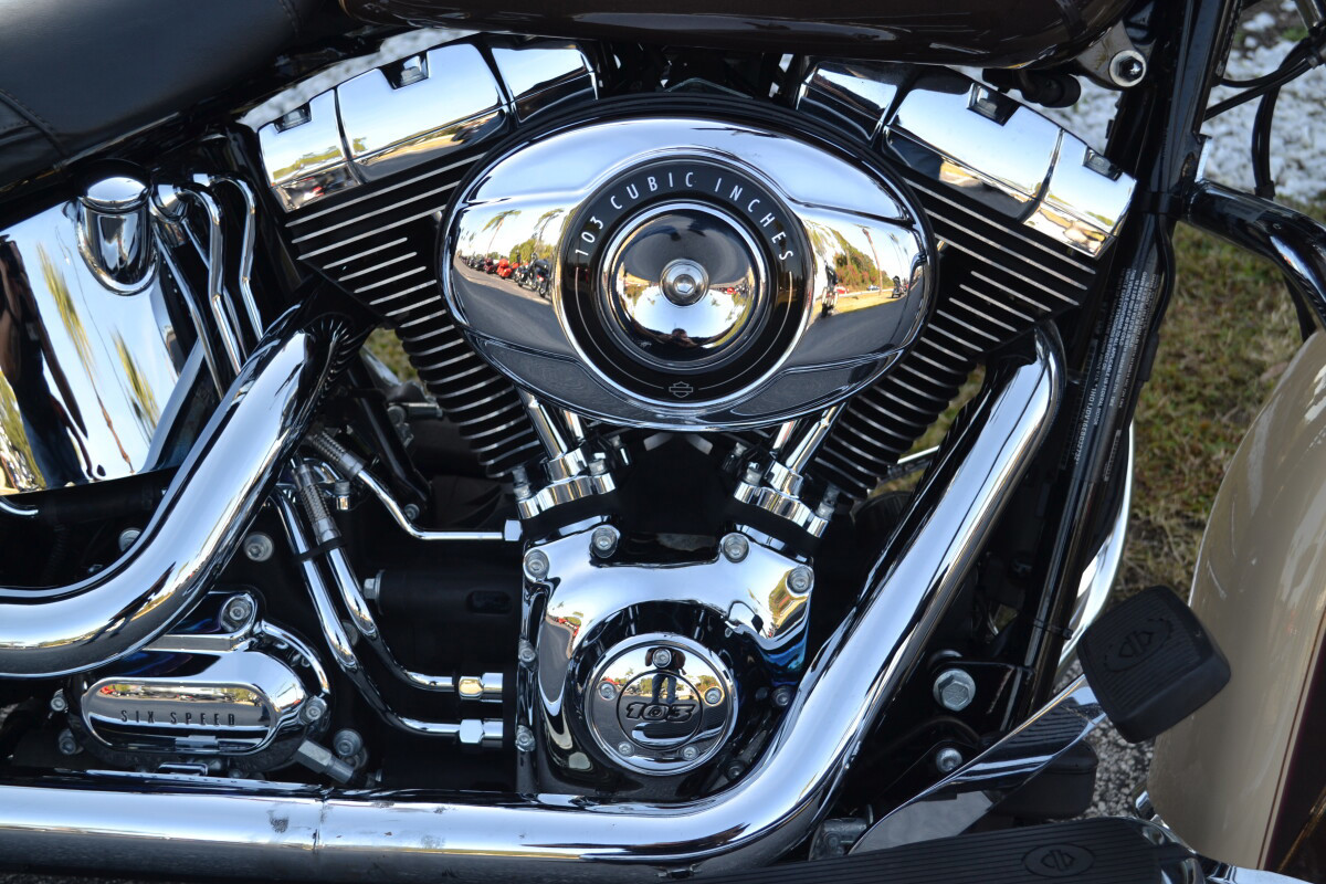 Softail® Deluxe