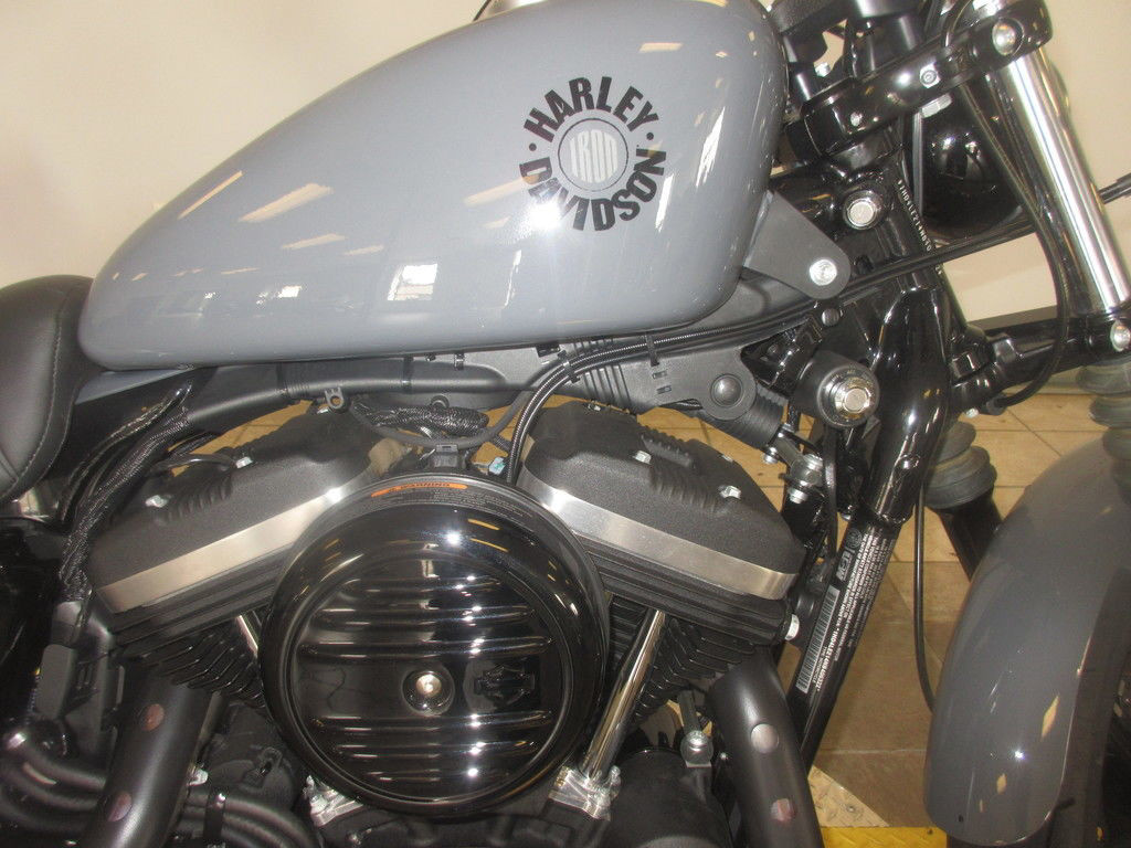 Iron 883®