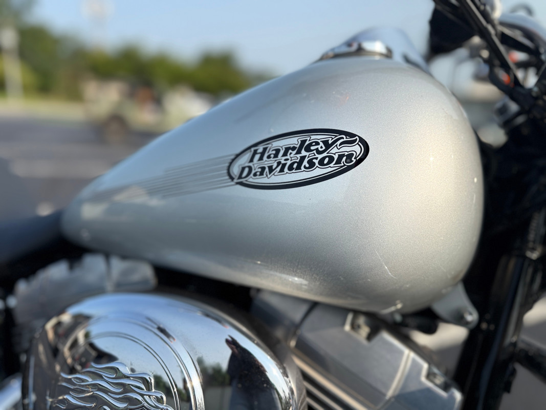 Softail® Standard