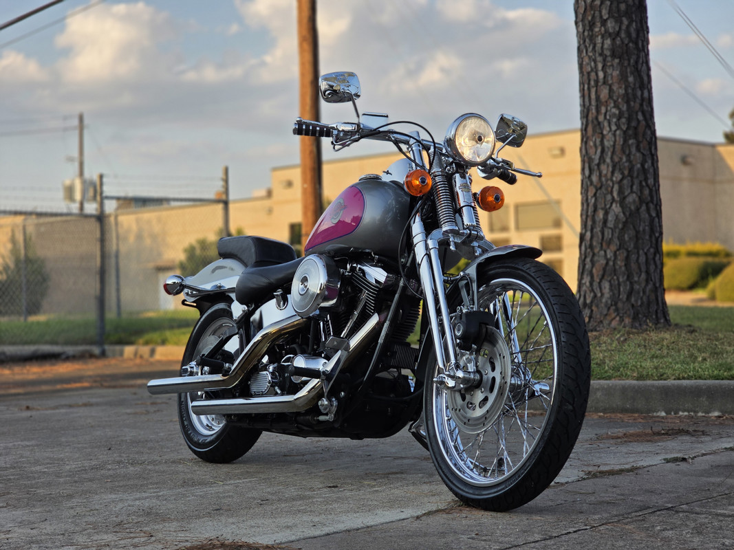 Springer® Softail®