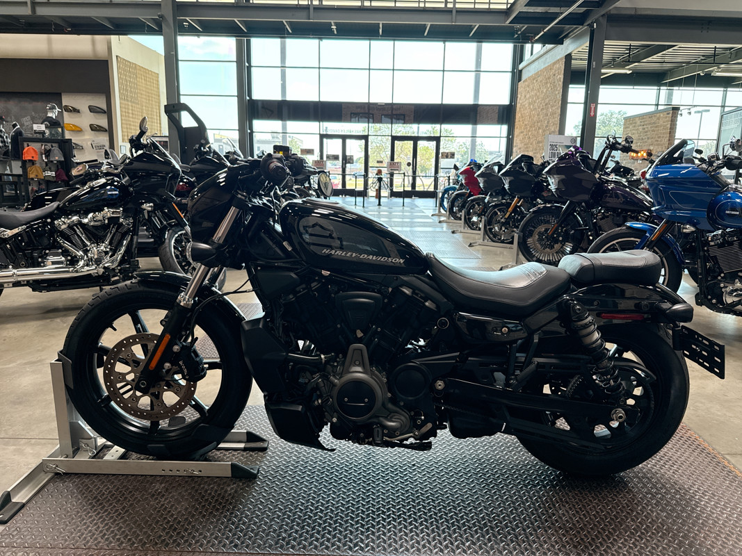Nightster