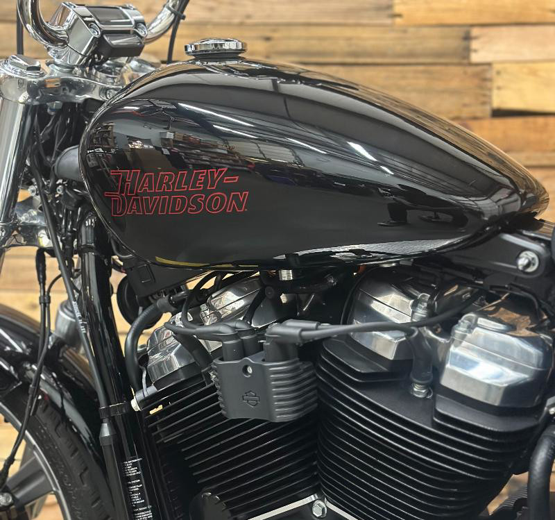 Softail® Standard