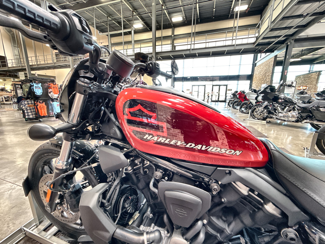 Nightster