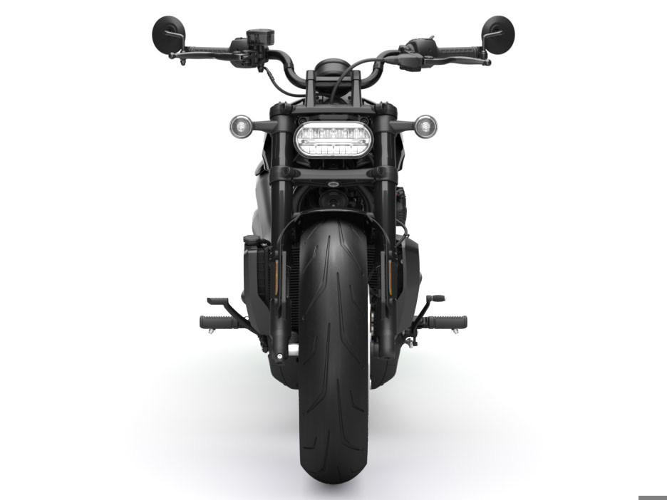 Sportster® S