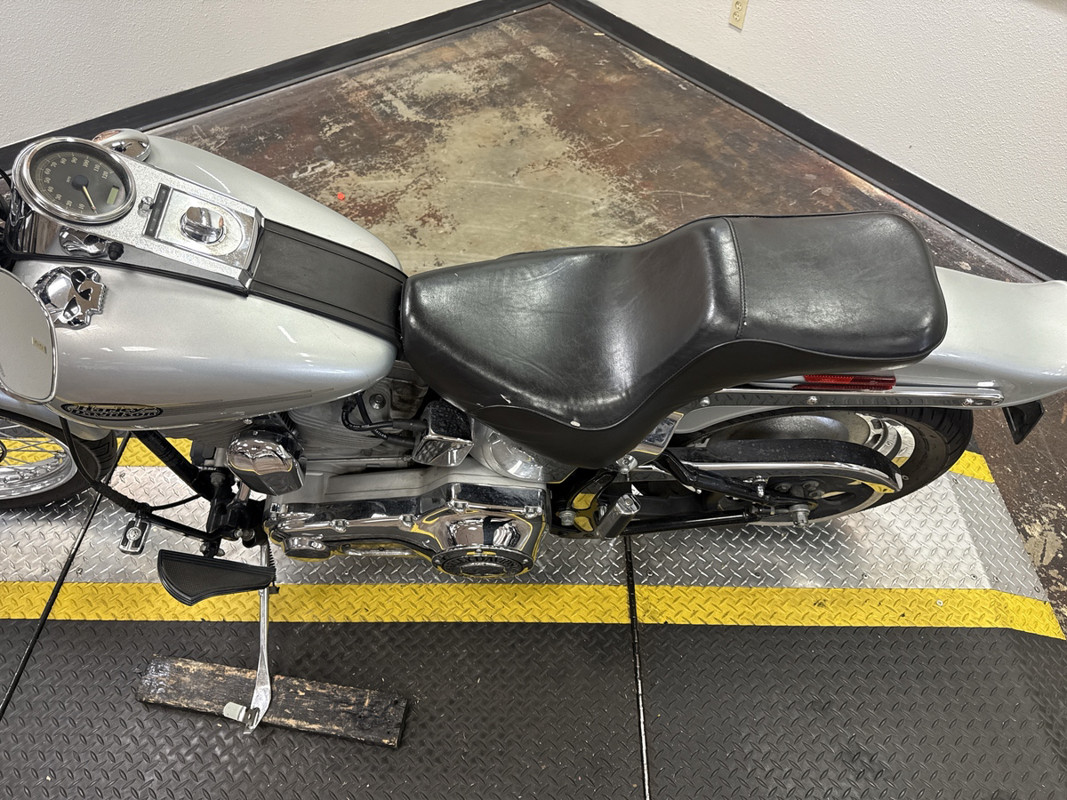 Softail® Standard