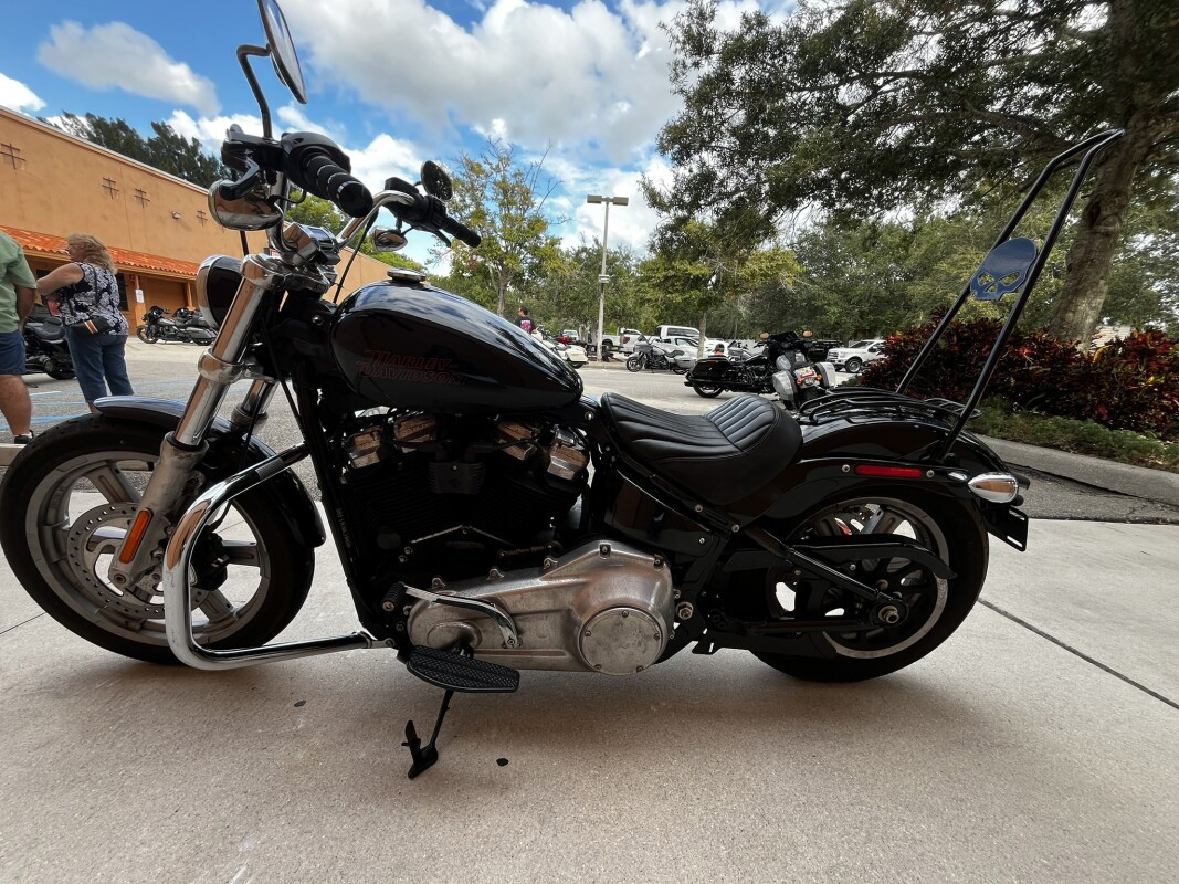 Softail® Standard