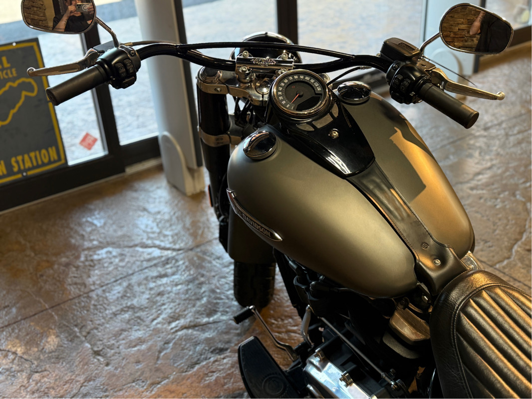 Softail® Slim®