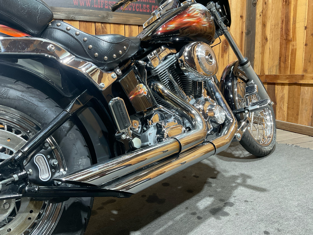 Softail® Standard