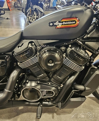 Nightster Special