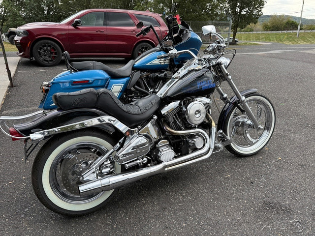 Softail® Custom