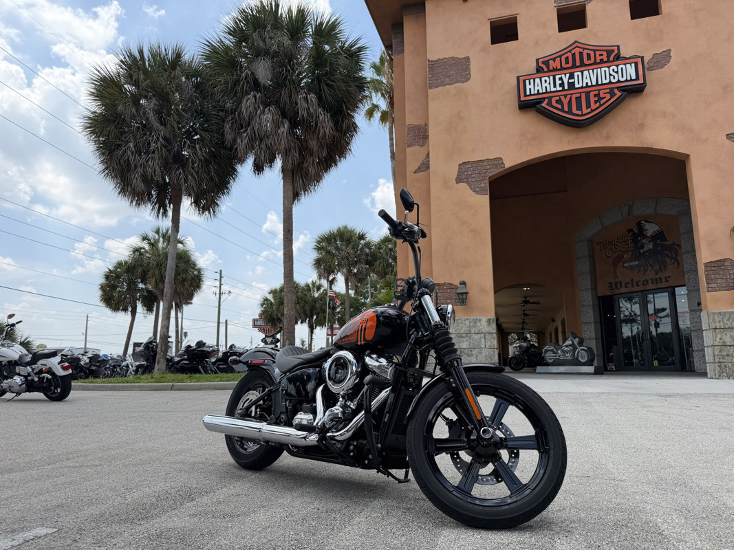 Street Bob®