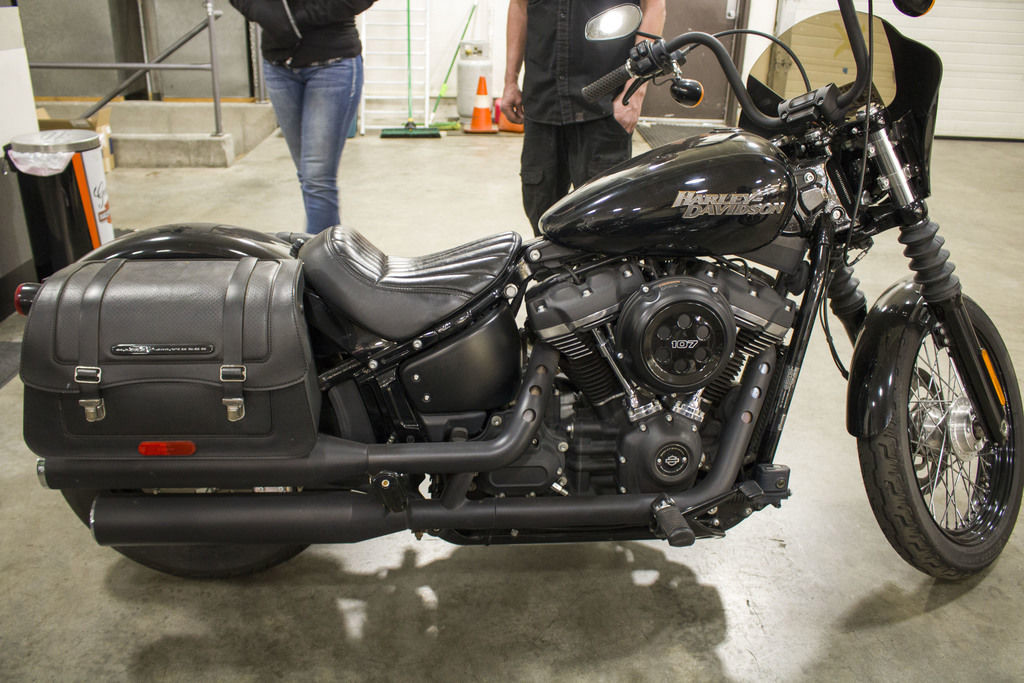 Softail® Street Bob®