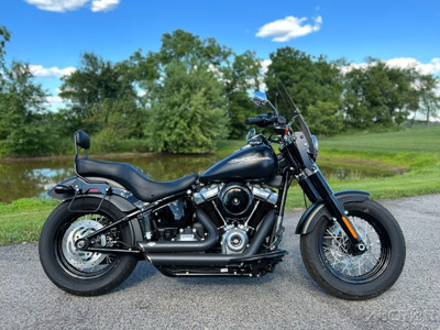 2020 harley davidson slim