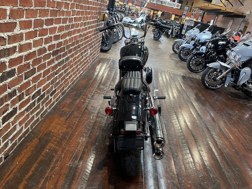 Softail® Standard