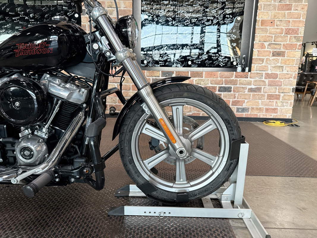 Softail® Standard