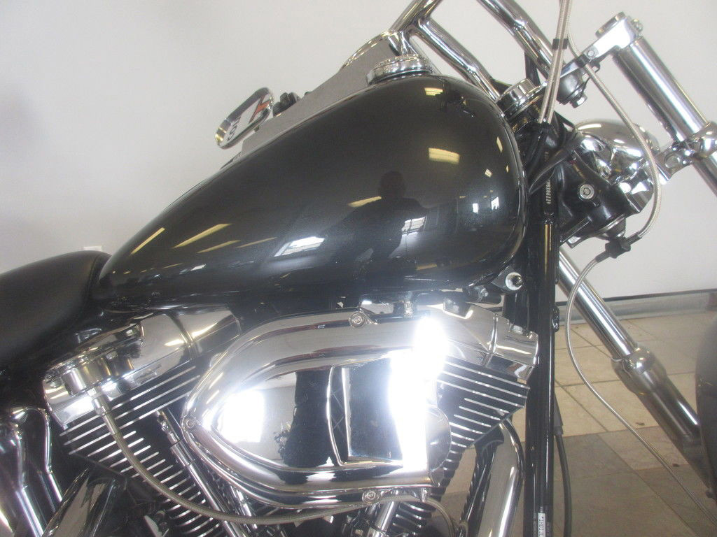 Softail® Custom