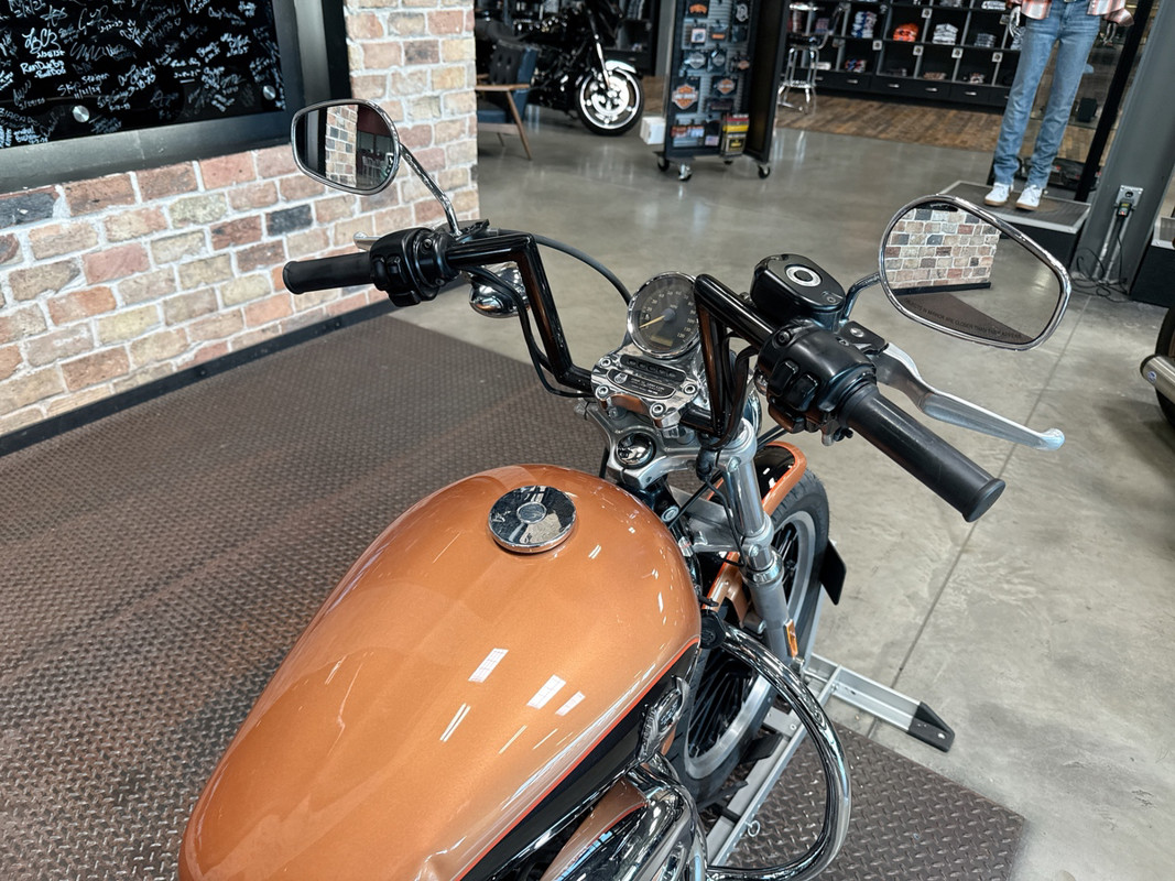 Sportster® 1200 Low Anniversary