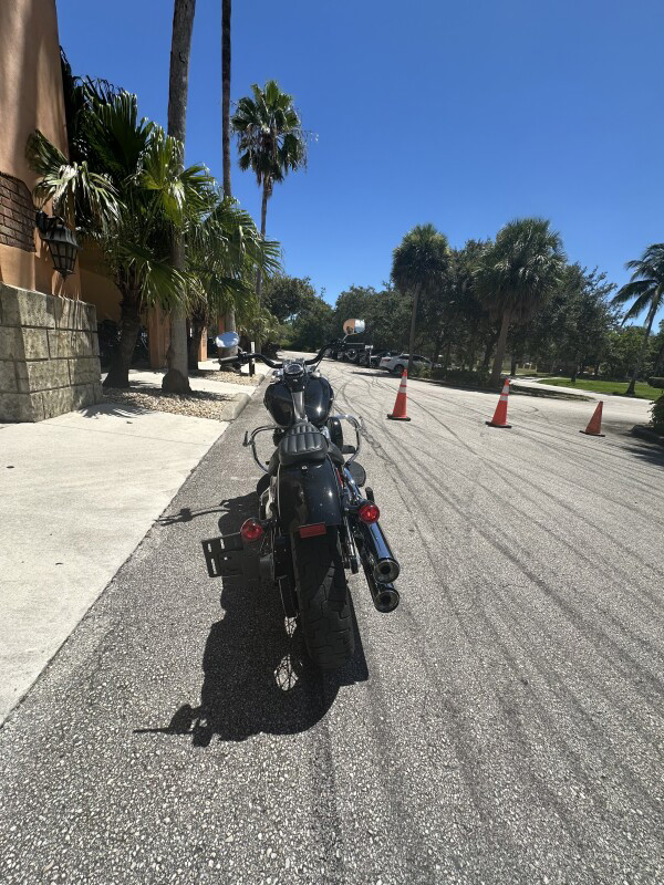 Softail® Slim®