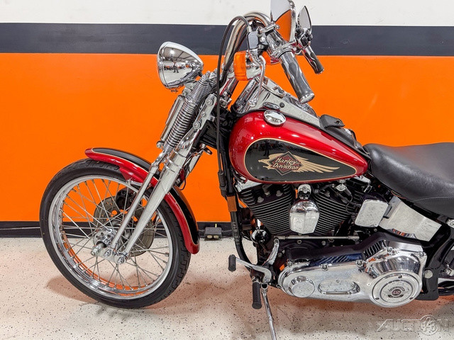 Springer® Softail®