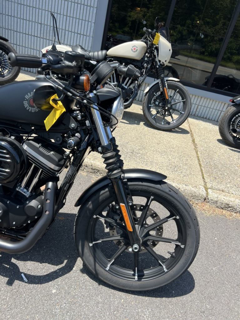 Iron 883®