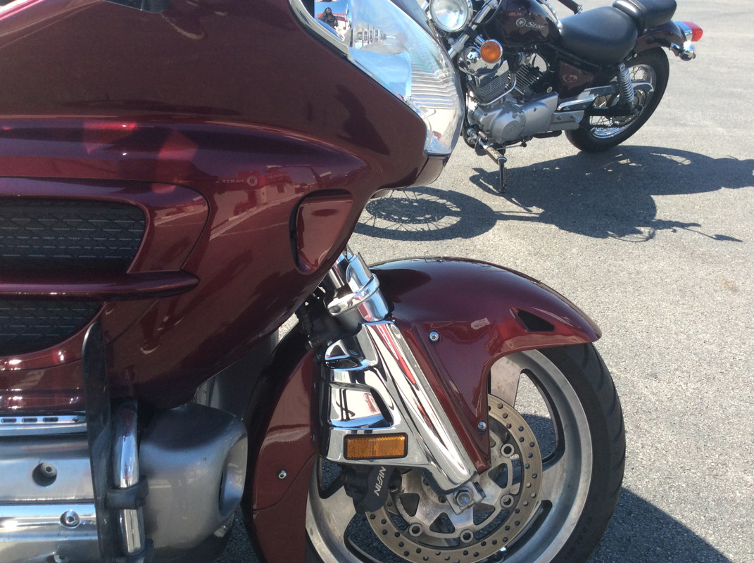 Gold Wing