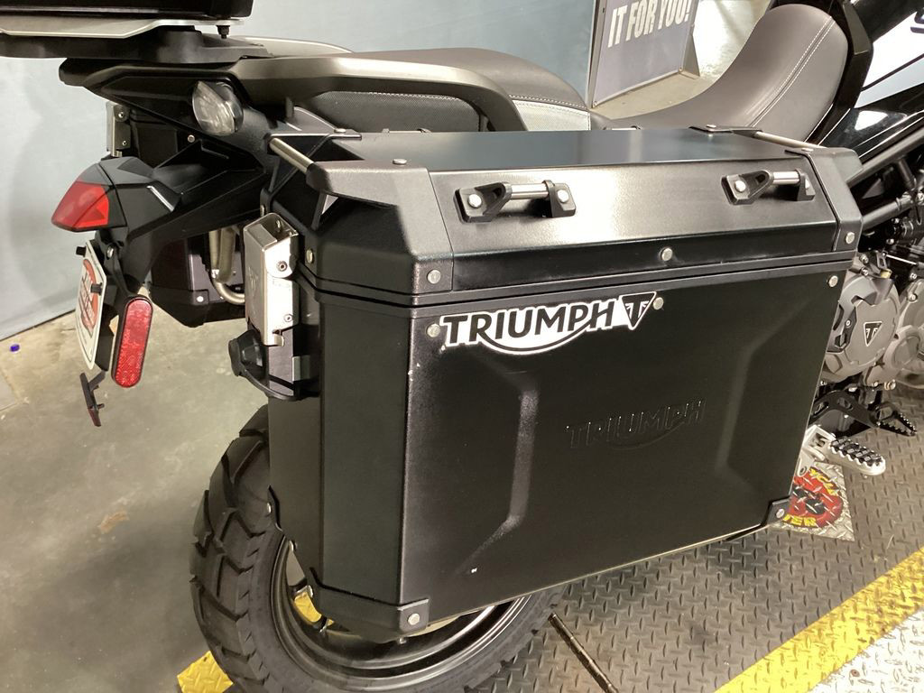 Tiger 900 GT Pro