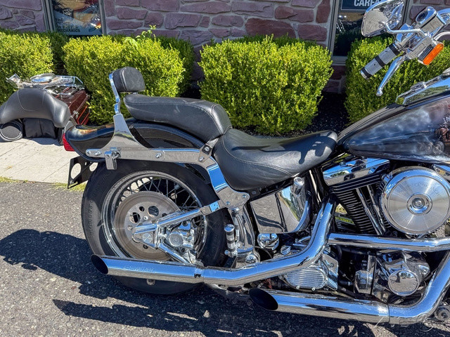 Springer® Softail®