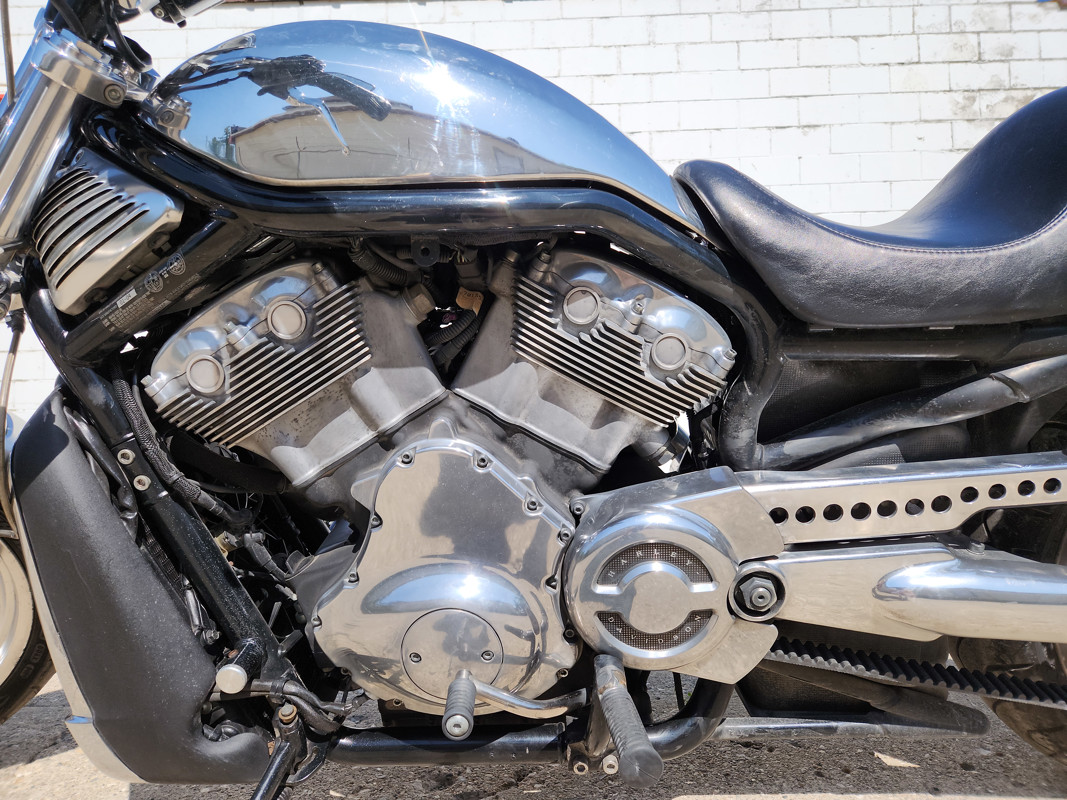 V-Rod® - Silver/Gray Frame