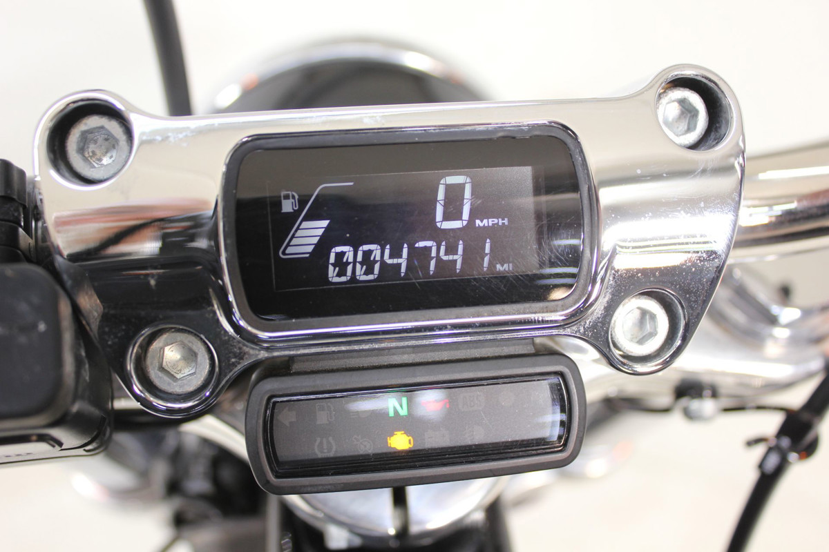 Softail® Standard
