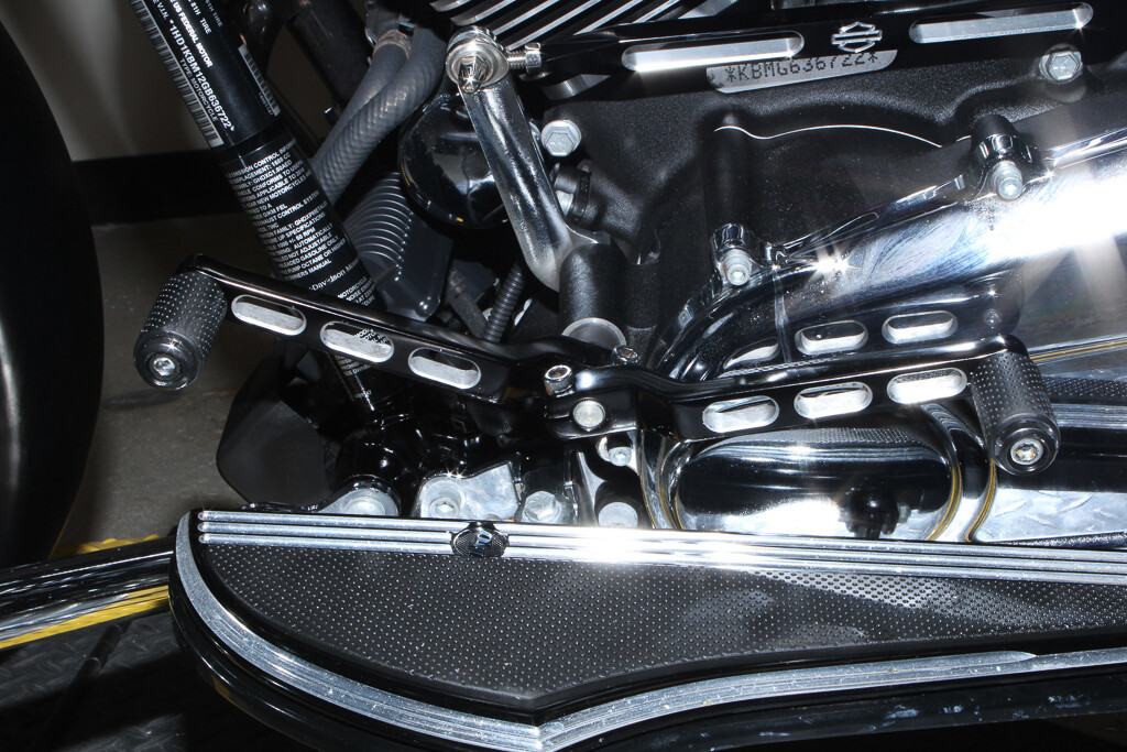 Street Glide® Special