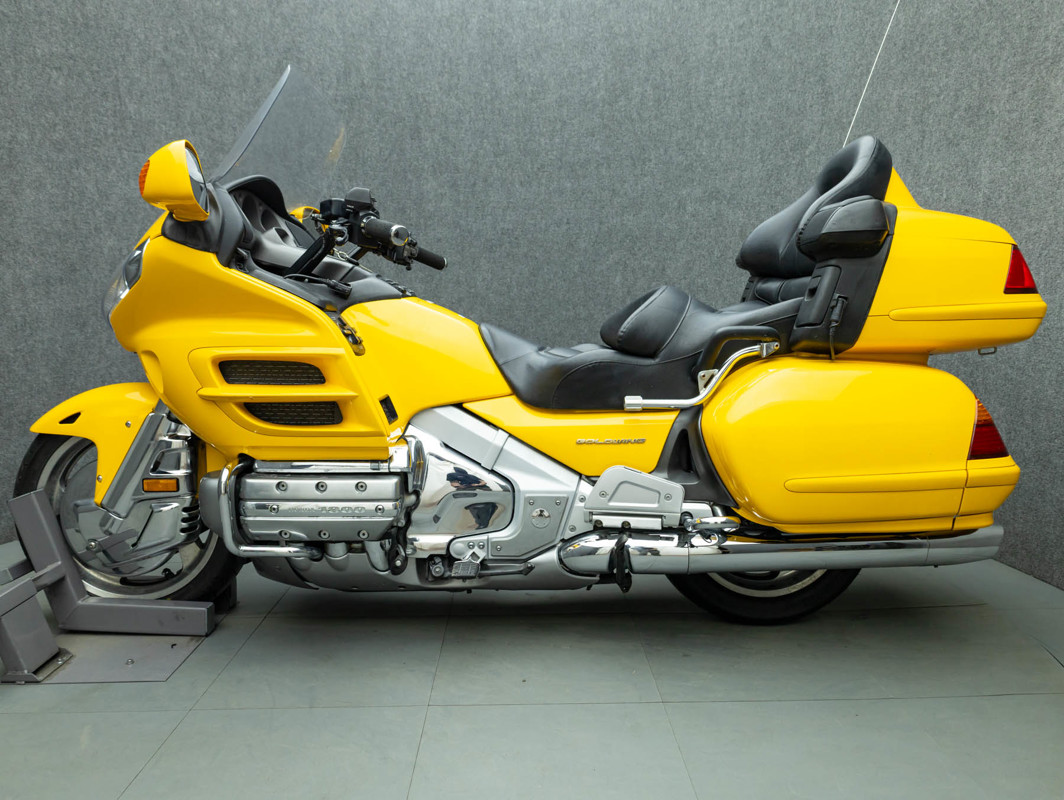 Gold Wing