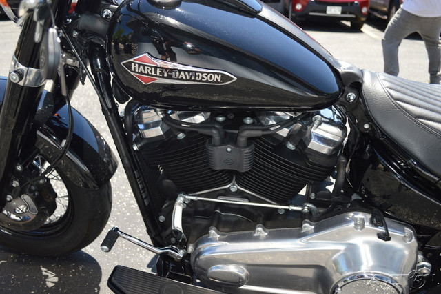 Softail® Slim®