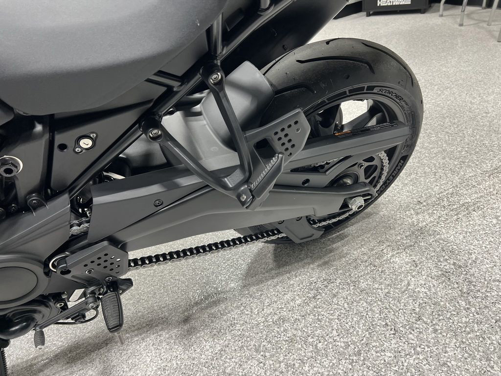 Pan America® 1250 ST