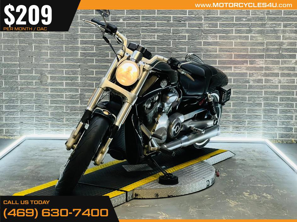 V-Rod Muscle®