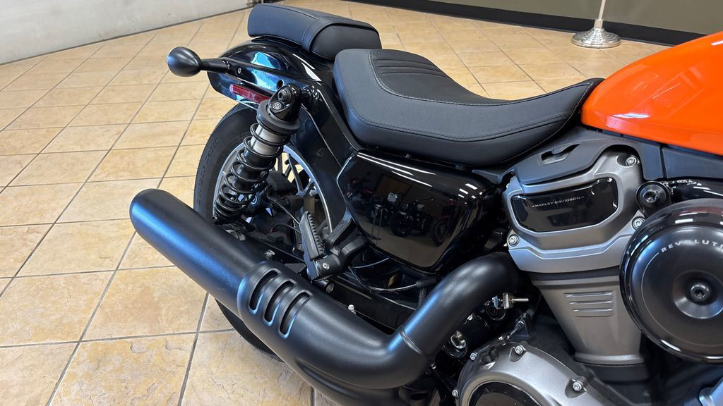 Nightster Special