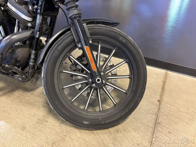 Sportster® Iron 883®