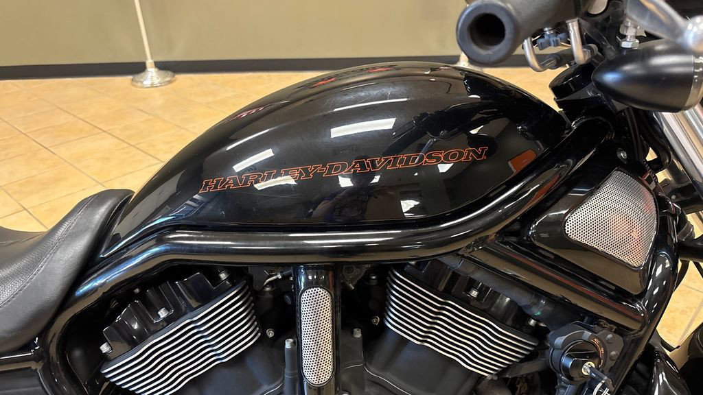 V-Rod® Night Rod® Special