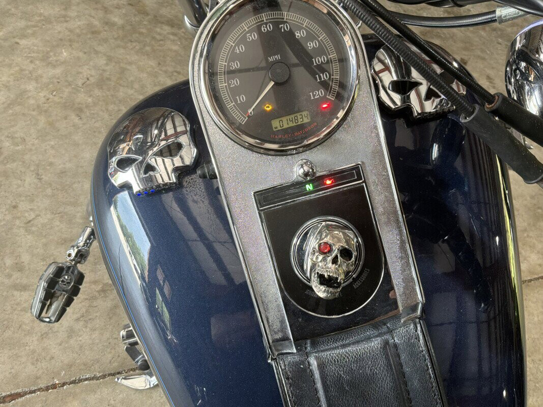 Softail® Custom
