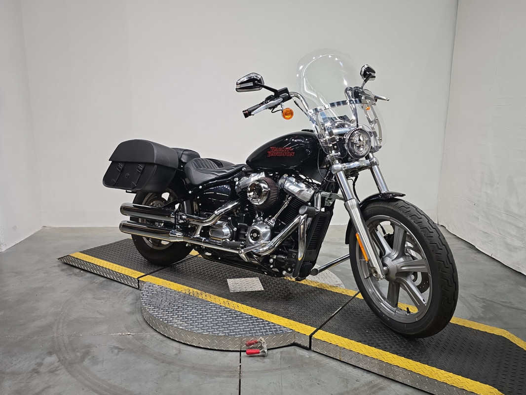 Softail® Standard