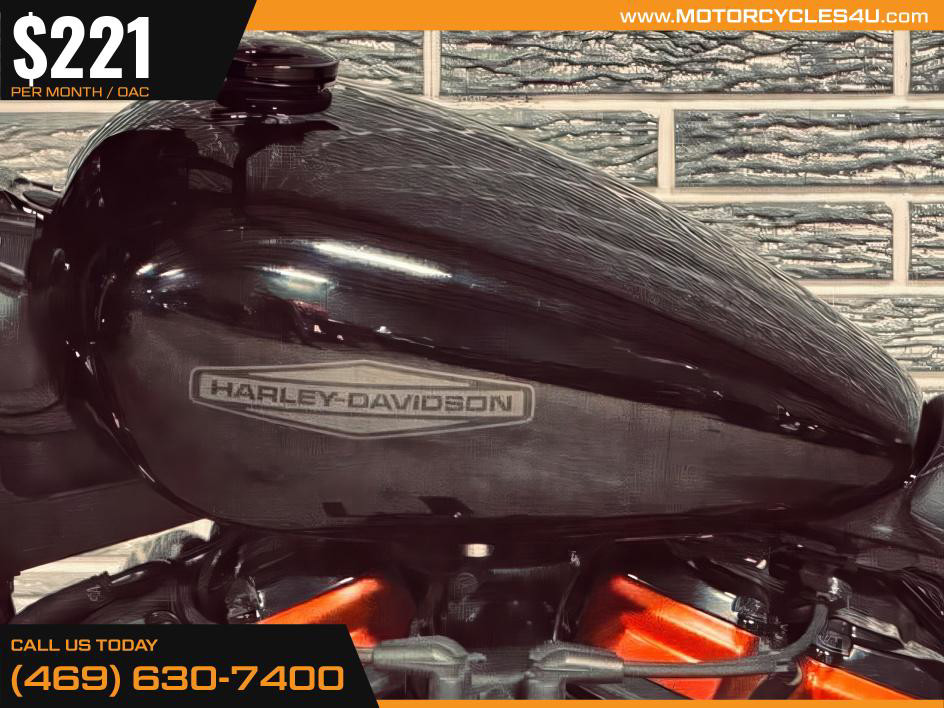Softail® Standard