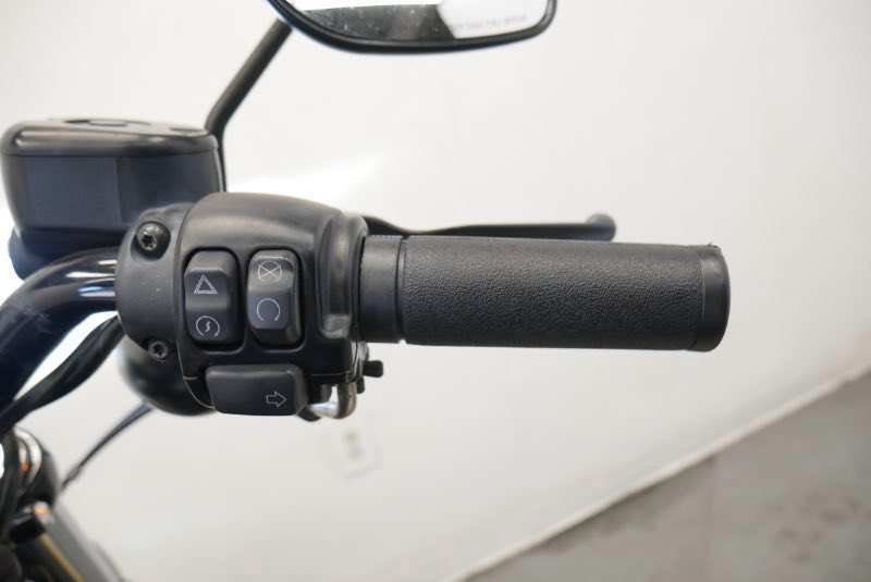 Sportster® Iron 883®