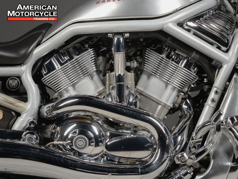 V-Rod®