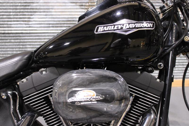 Softail® Night Train® 