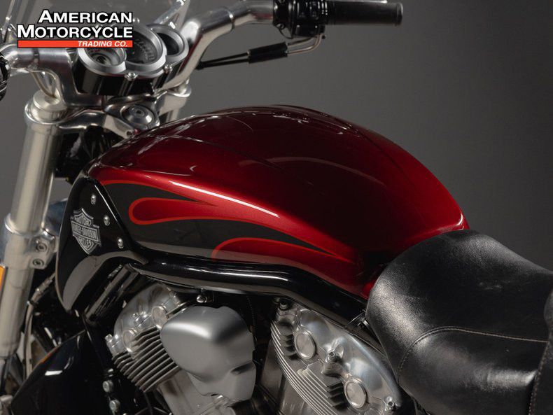 V-Rod® Muscle