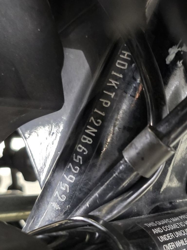 Road Glide® Special