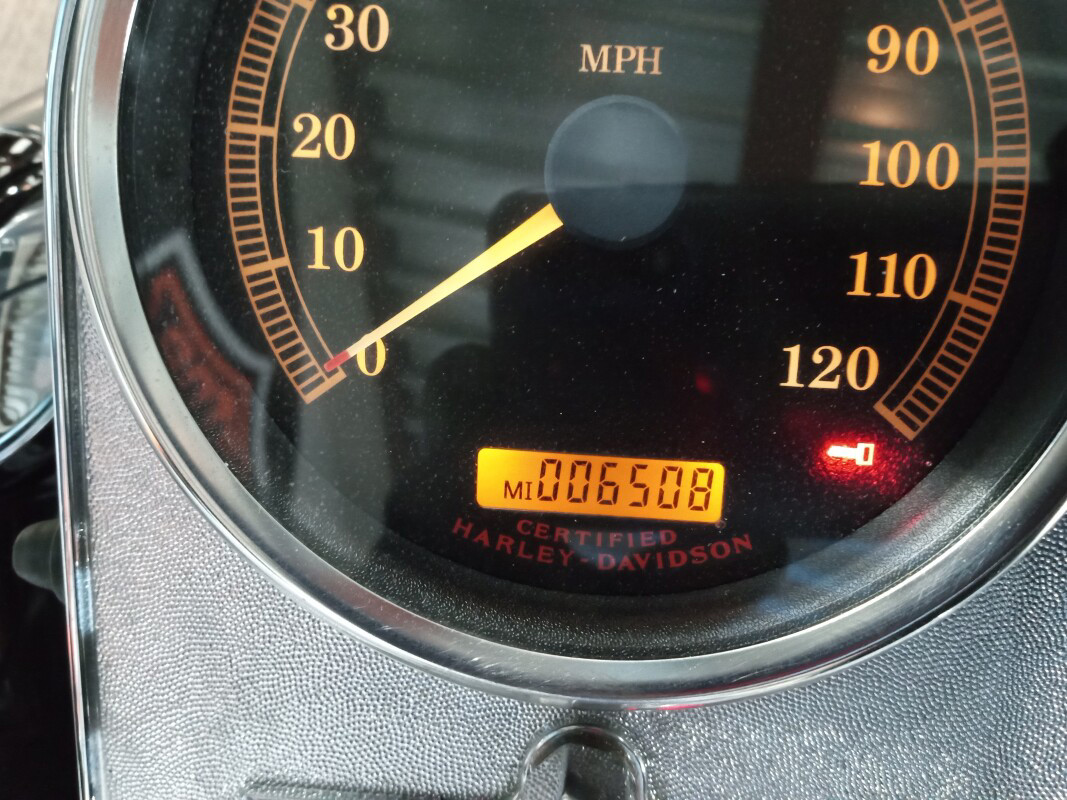 Softail® Springer® Classic