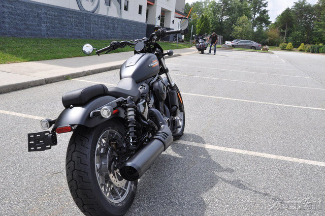 Nightster Special